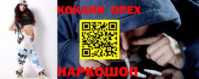 сатива Можга