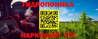 сатива Можга