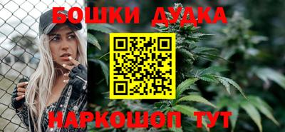 сатива Можга