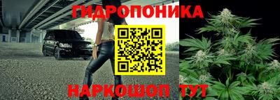 apvp Моздок